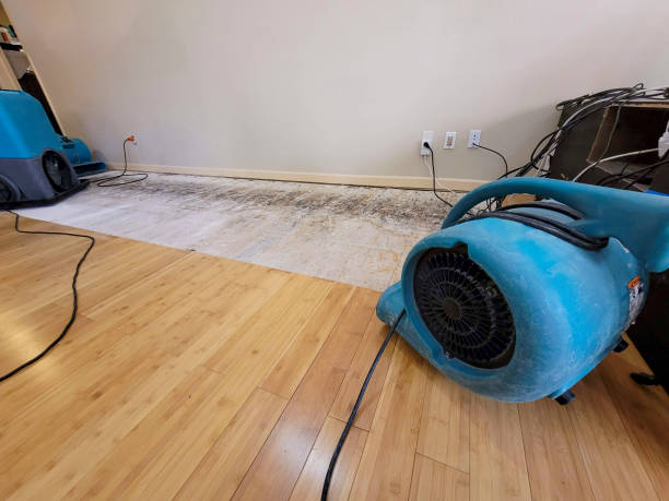Professional Water Damage Repair technician working in La Cygne, KS
